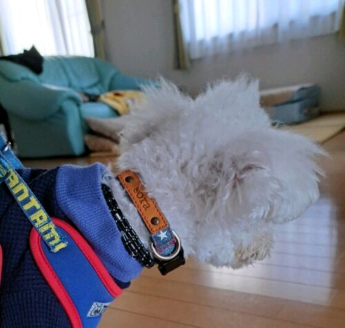 年代を越えたお揃い♡