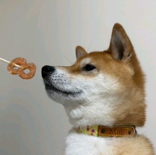 さくらんぼ柄でおめでとう～！