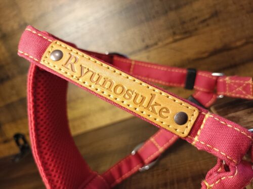 シンプルレッドのハーネス
