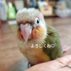 新しい家族が増えました(^^）
