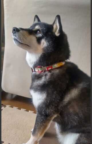 可愛くお洒落な11歳♡