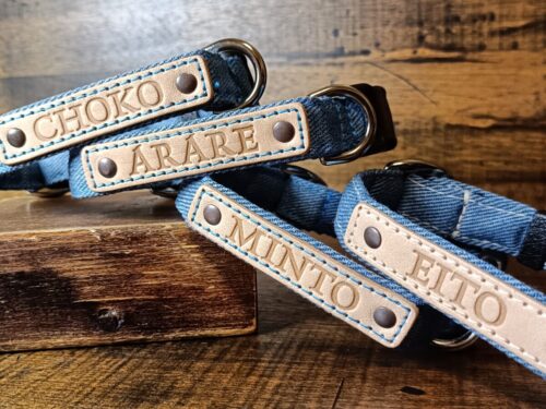 ステッチカラーで遊び心を!