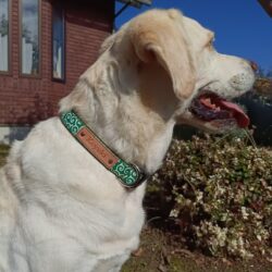 選べる柄布ご紹介　（唐草）