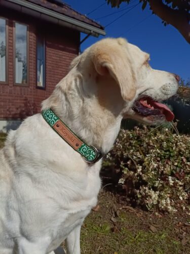 選べる柄布ご紹介　（唐草）