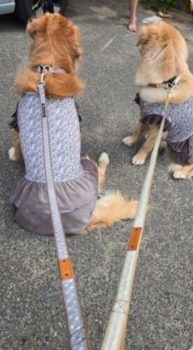 くすみドットでフェミニンな装い