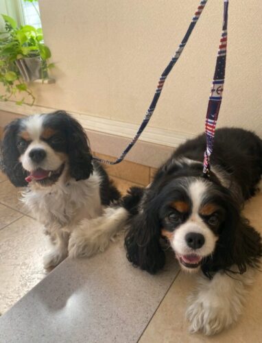 名入れグッズでお友達を増やそう！