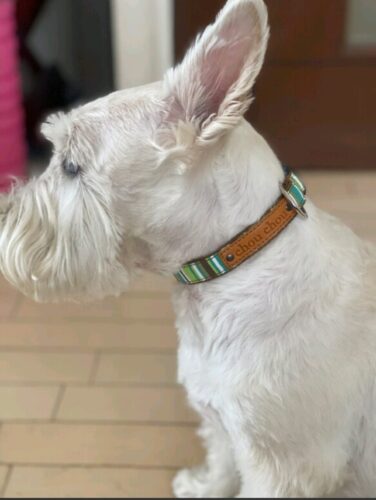 初めてのグリーン系☆大成功！