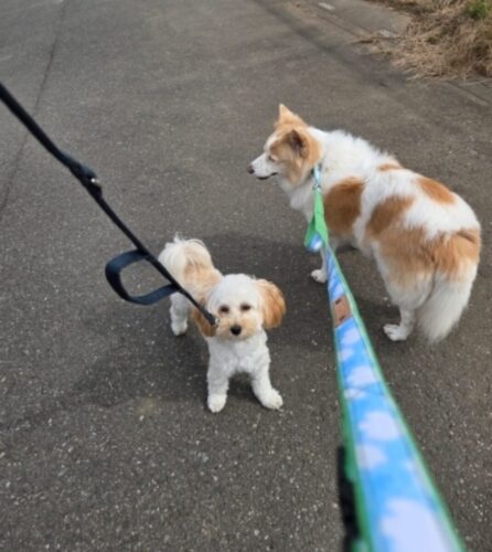 それぞれのイメージに合わせた色柄で！