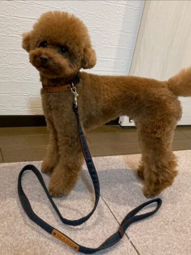 デニム×レッド♡最高のコラボレーション