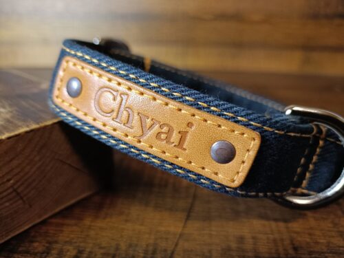 デニムの首輪で新年の幕開け