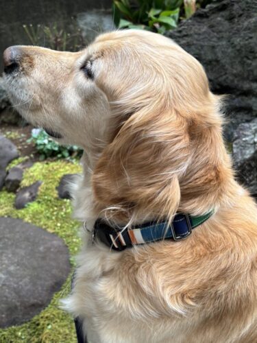 カラフルストライプと一緒に充実した毎日を！