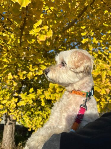 カラフルストライプで主役間違いなし!