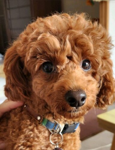 サイズアップでカラフルストライプ！