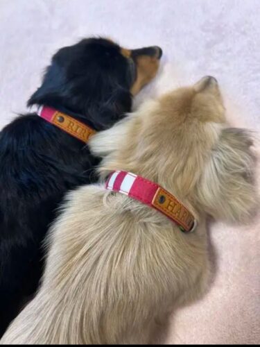 仲良しお揃いコーデ