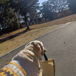 ご要望承ります(^^）