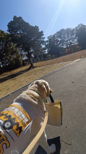 ご要望承ります(^^)