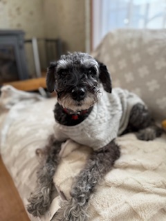 技ありグラデーション