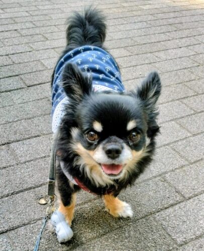 初めての名入れリード！