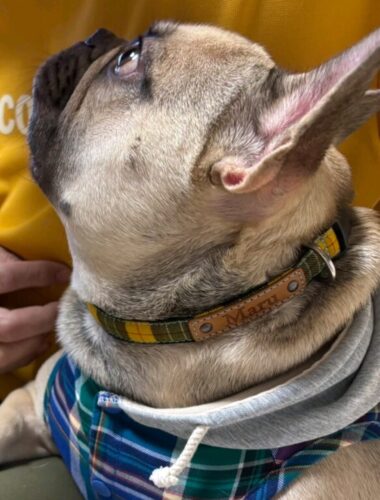 イエローチェック×ブルーステッチ爽やかで可愛い♡