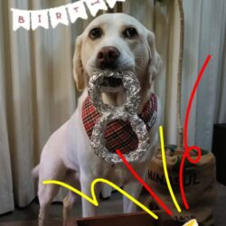 小雪さんHappyBirthday〜