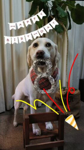 小雪さんHappyBirthday〜