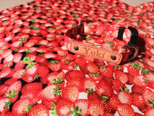 選べる柄布ご紹介　（ストロベリー）