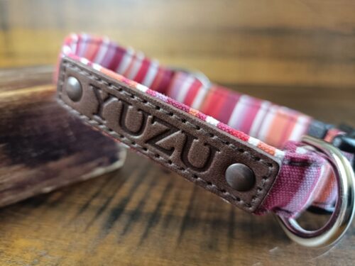 可愛いとカッコ良いのコラボ