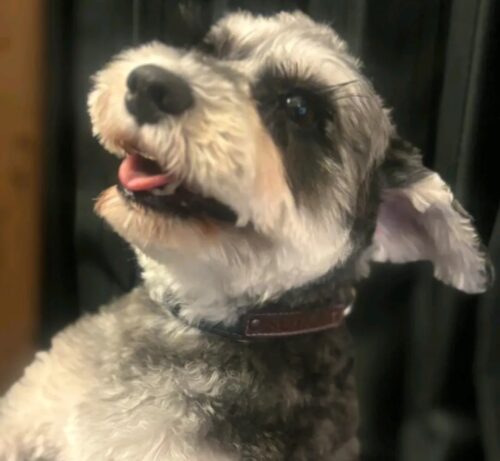 ネイビーデニム×渋~いカスタム