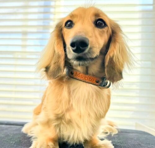 遊び心のあるデニムコーデ