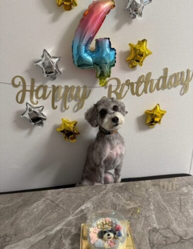 グリーンチェックでHappy Birthday