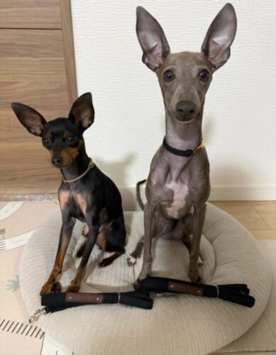 ブラックリードでスタイリッシュに