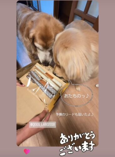 くすみドット♡ブラウンで統一感を