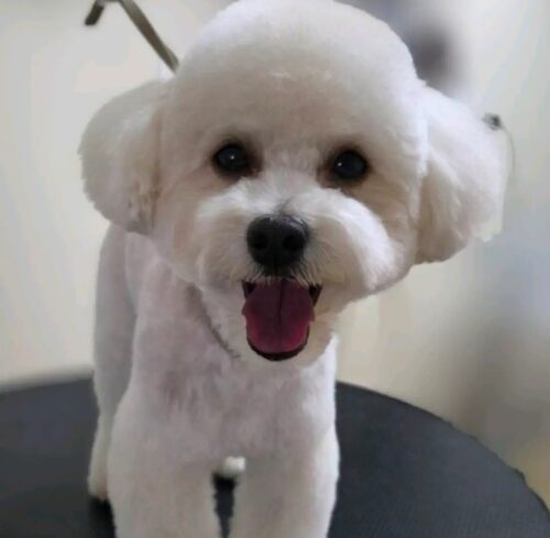 カラフルストライプ×寒色☆クールにカッコ良く！